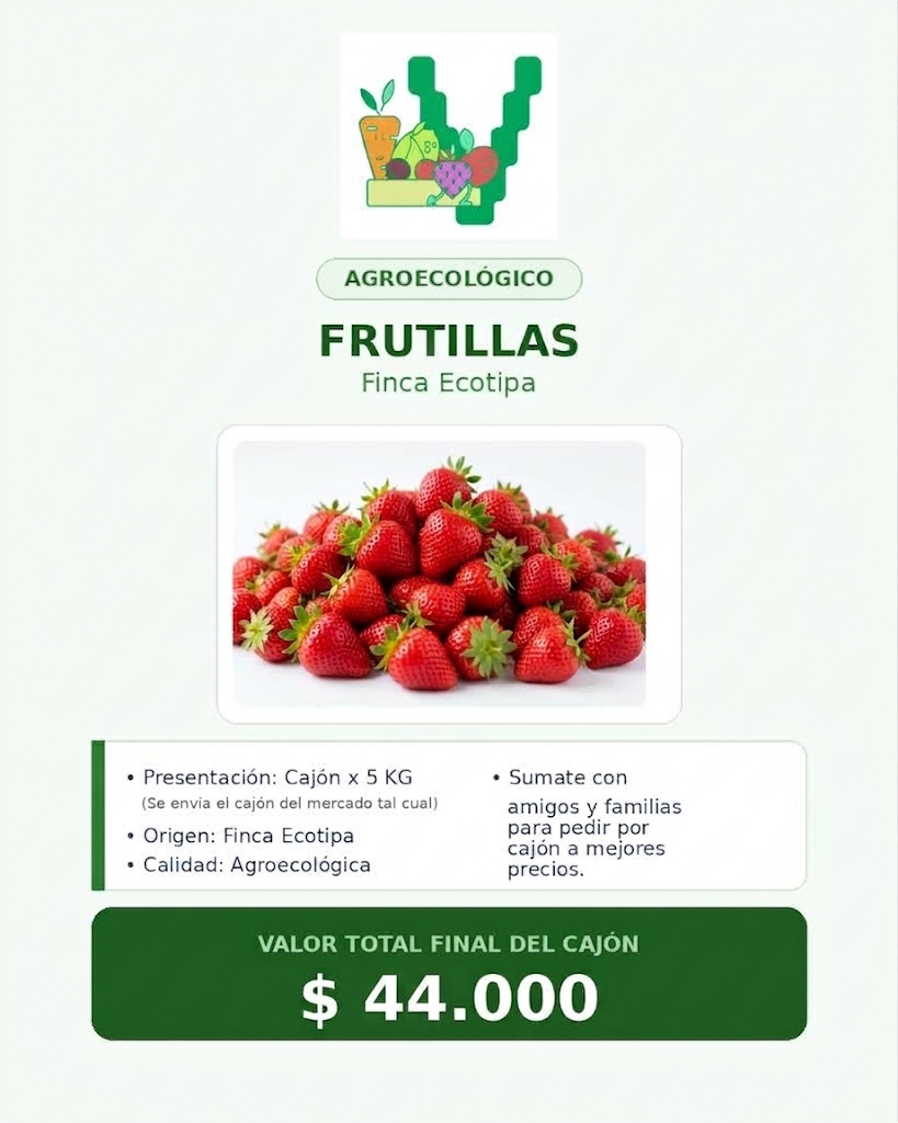 Frutillas Ecotipa